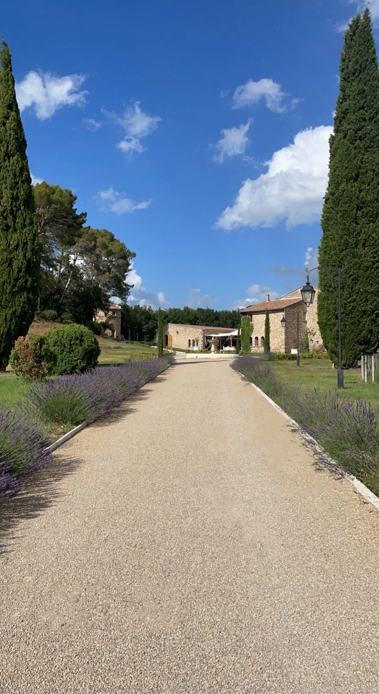 La grande allée bordée de cyprès qui mène au domaine
