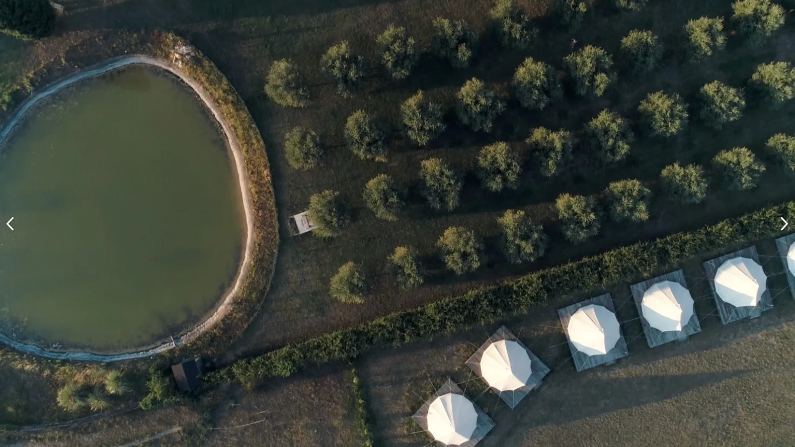 Vue aérienne du bassin et des lavandes du domaine