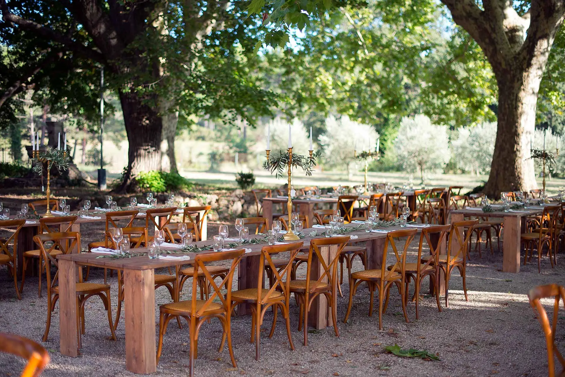Longues tables en bois dressées sous les platanes